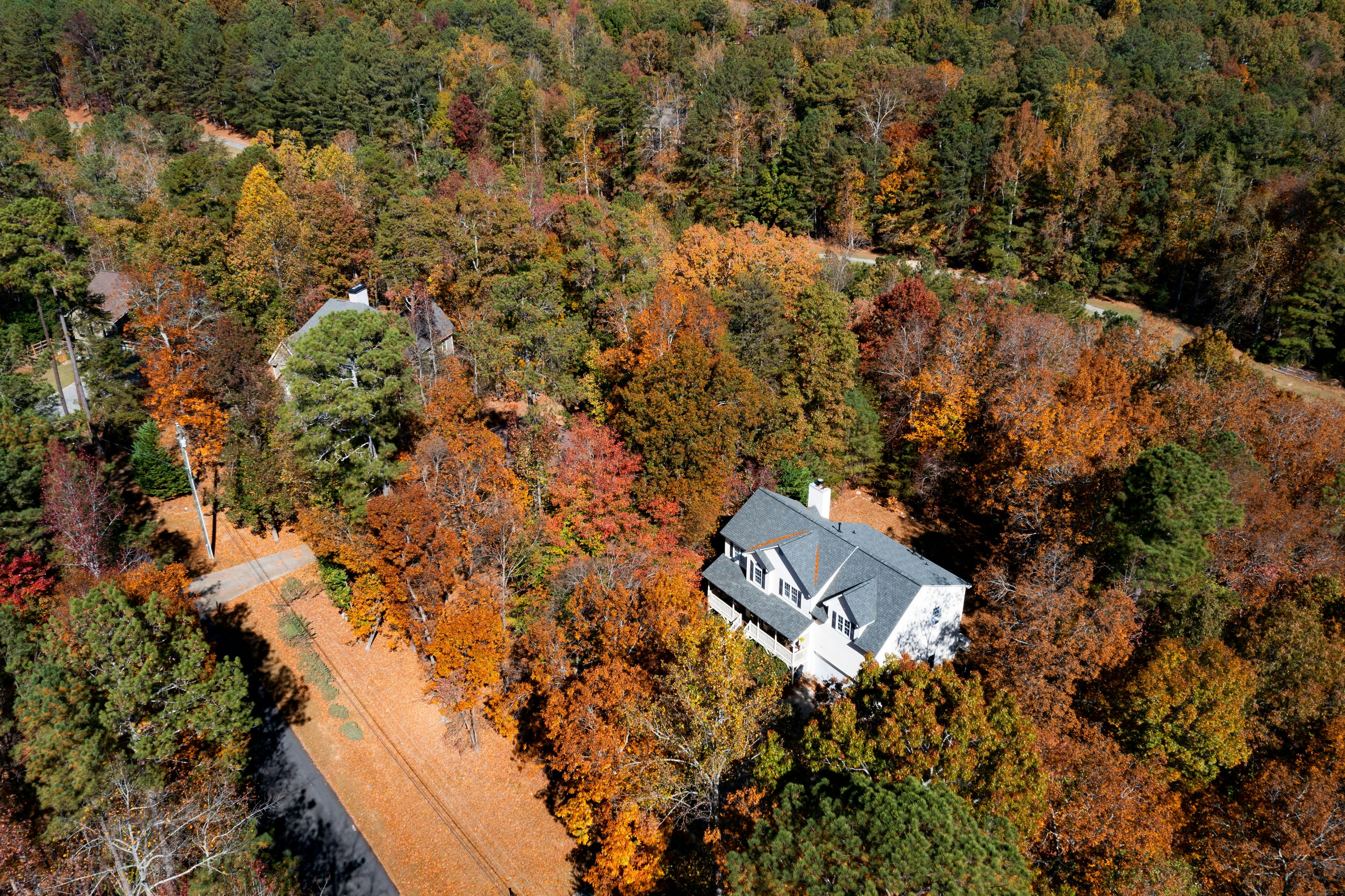 Autumn in Woodlands>