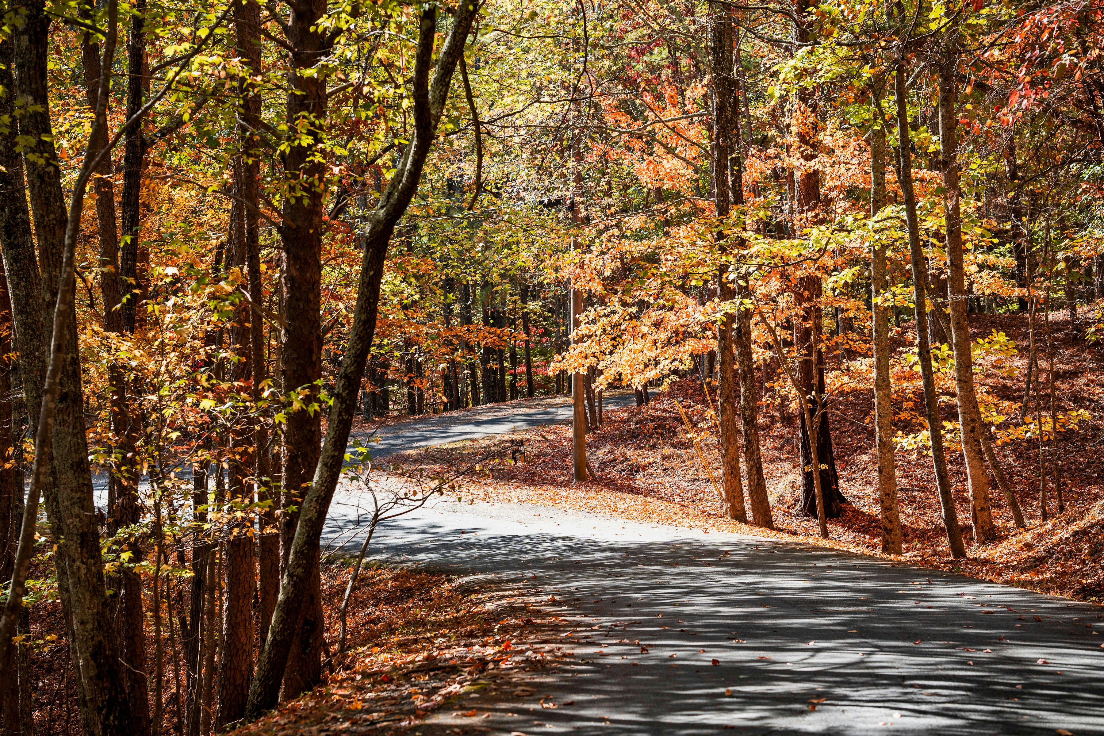 Mountain Road in Lake Arrowhead>