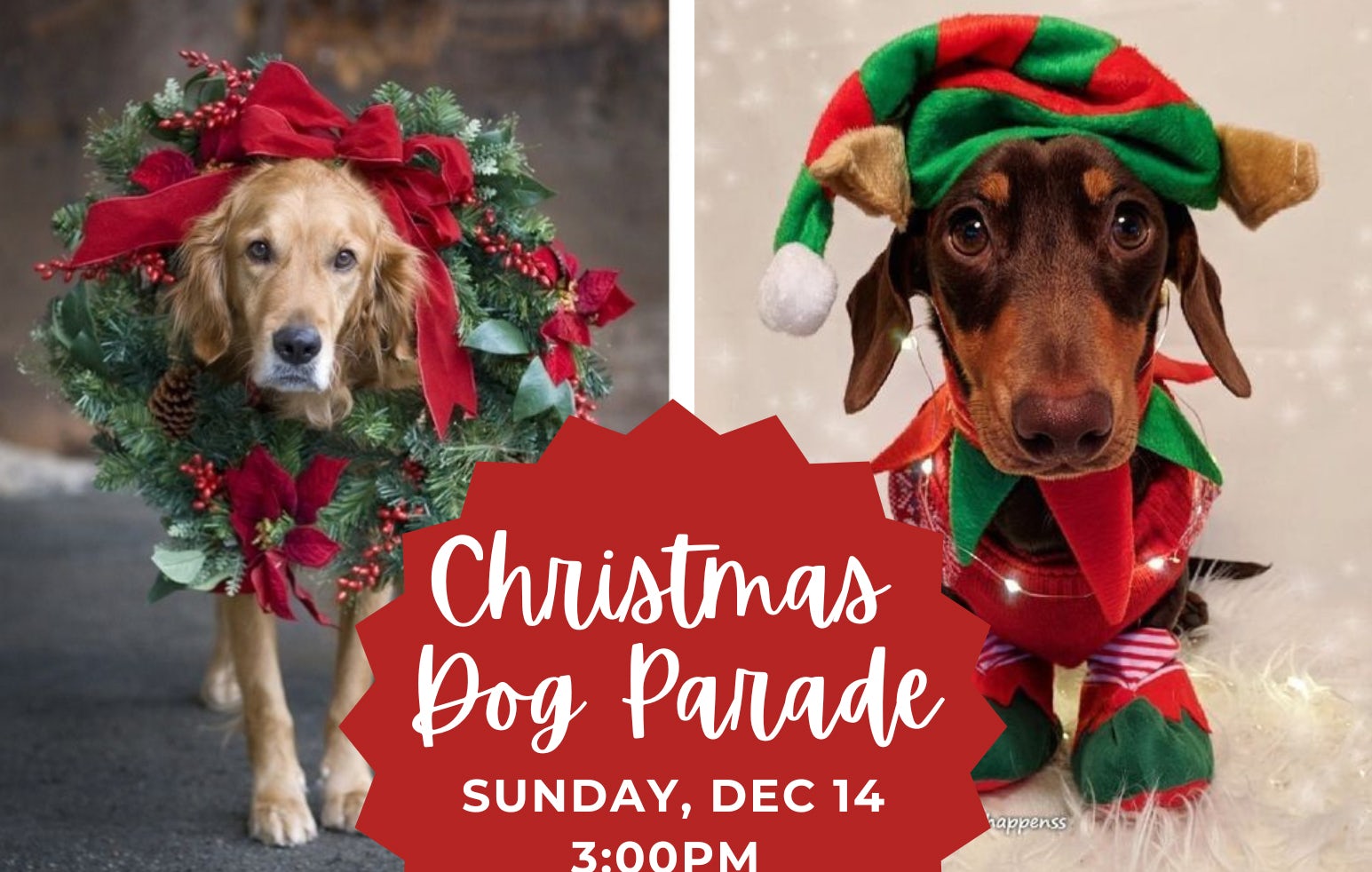 Christmas Dog Parade>