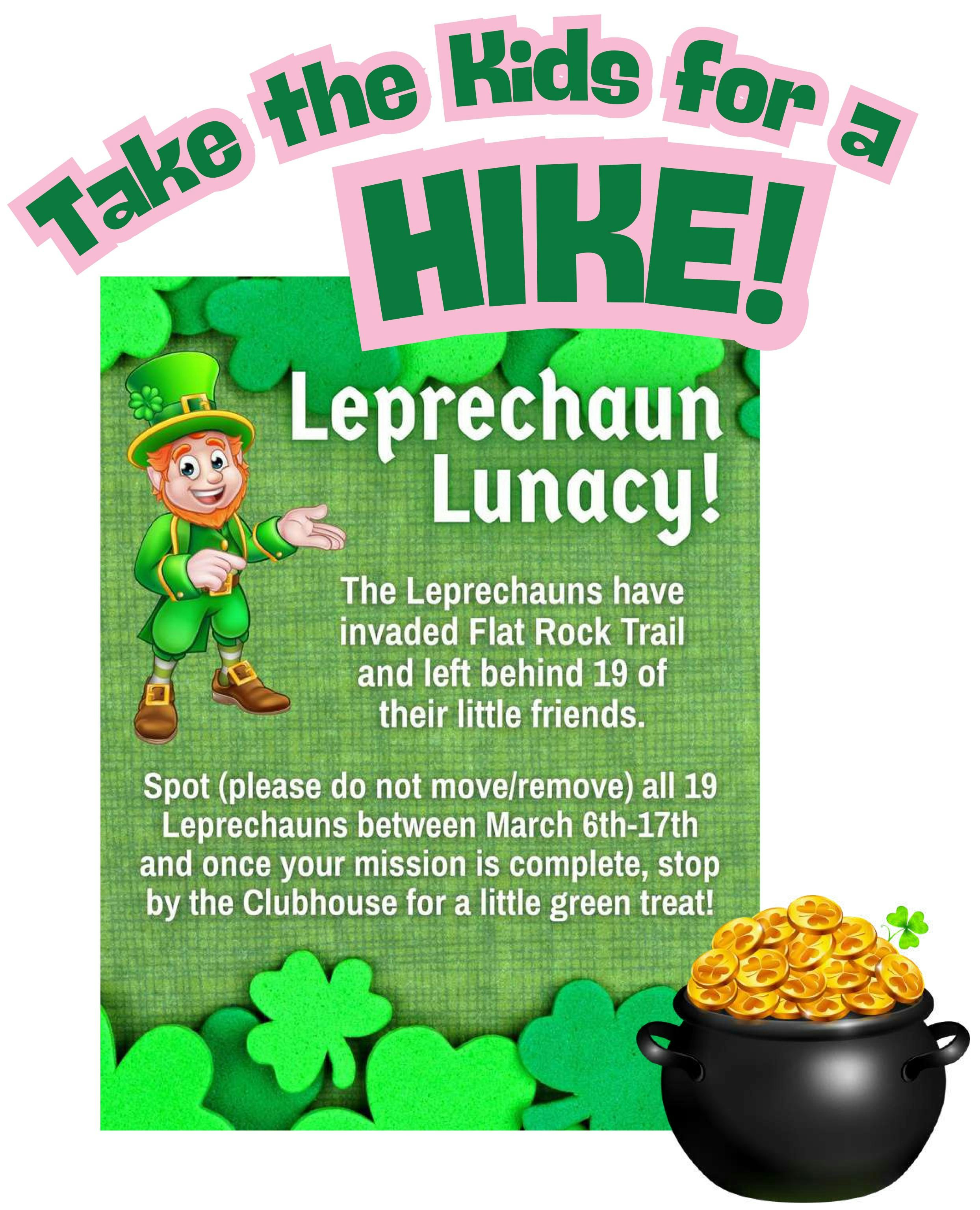 Leprechaun Lunacy