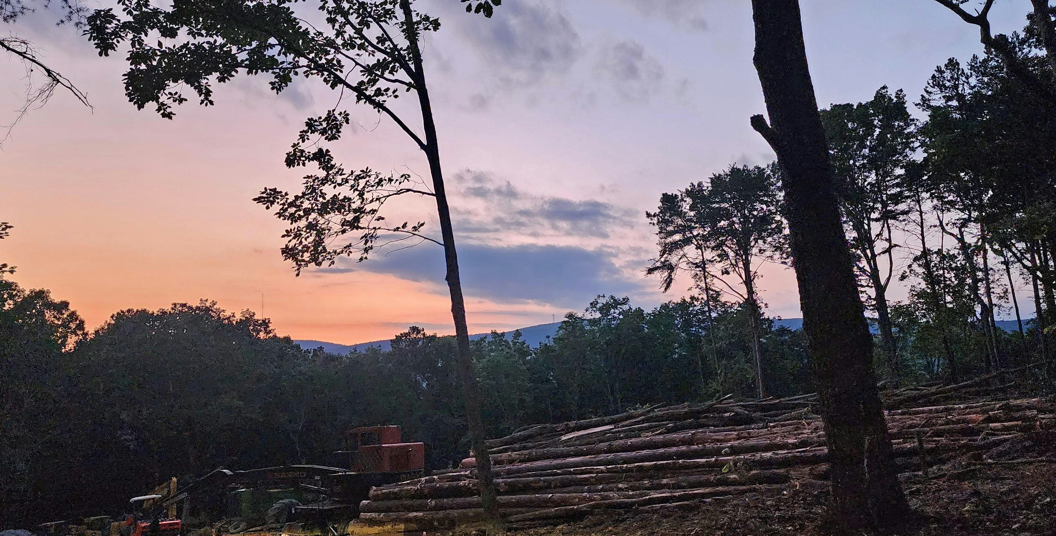 Timber Ridge Development