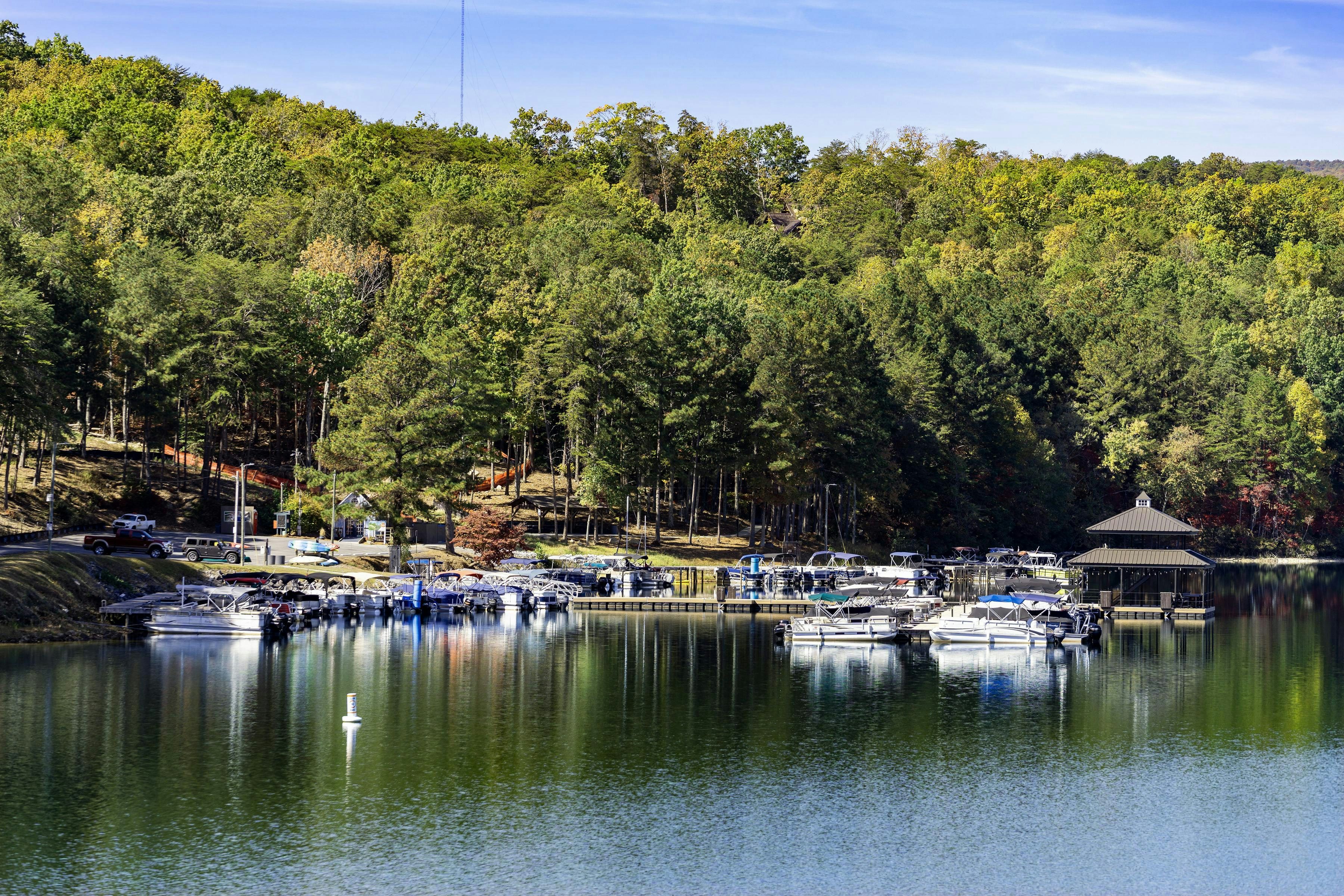 Summer at the Marina