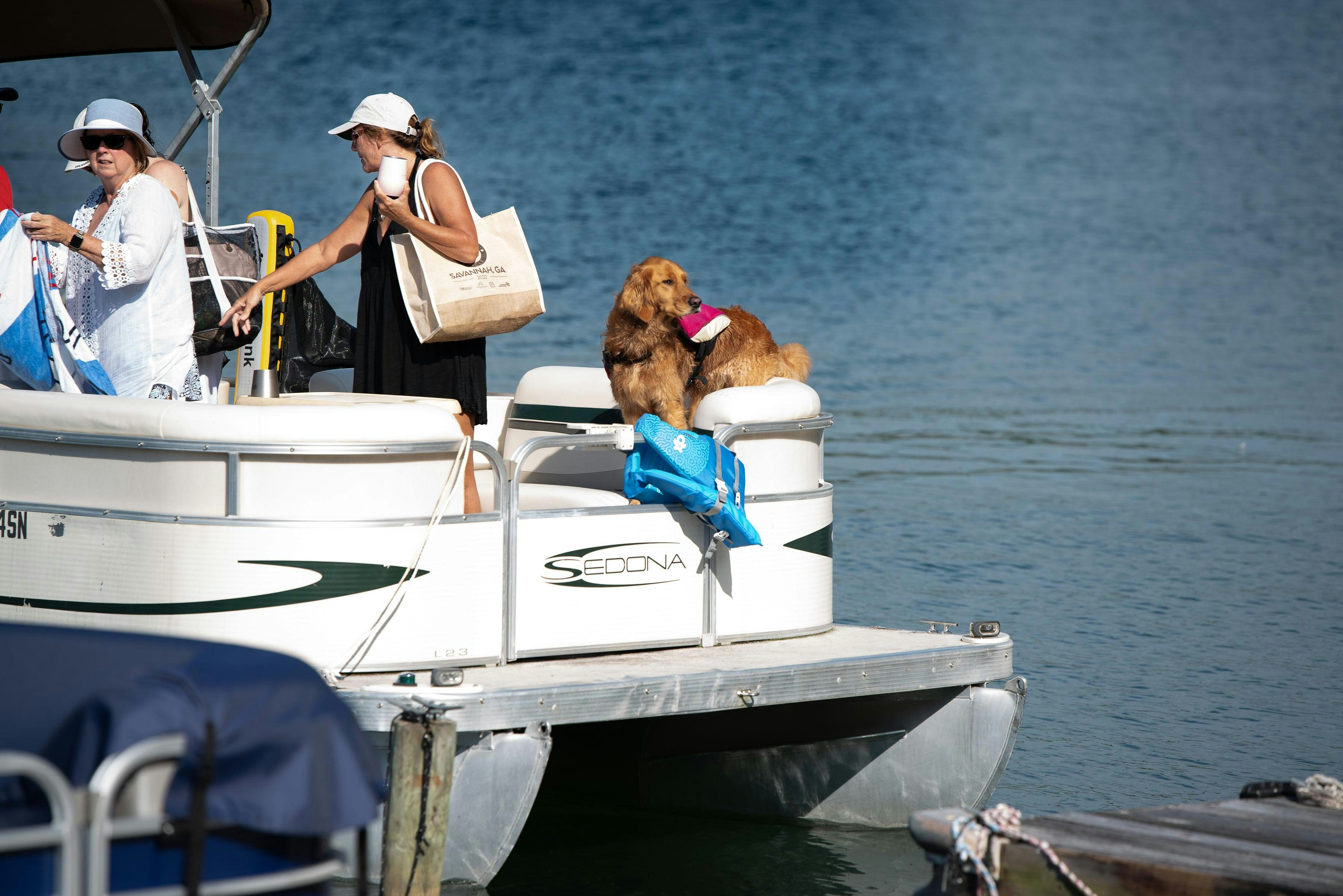 Dog on Pontoon