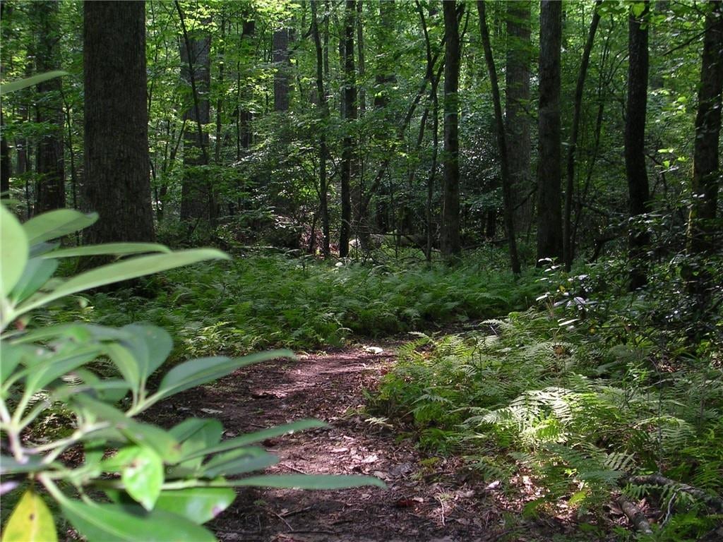 Image of Interior or Exterior of listing