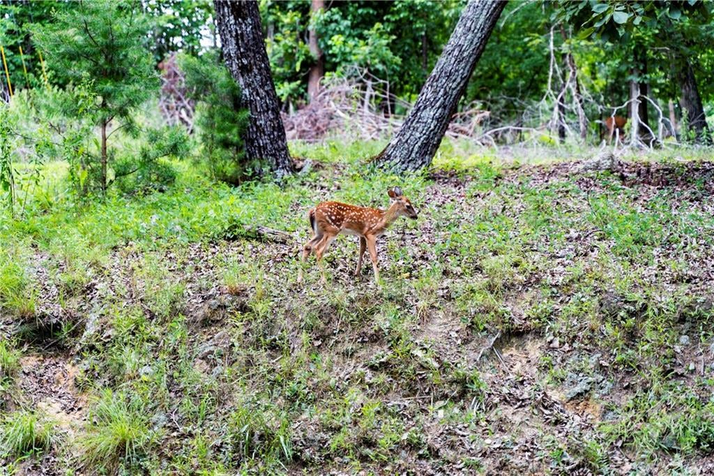 Image of Interior or Exterior of listing