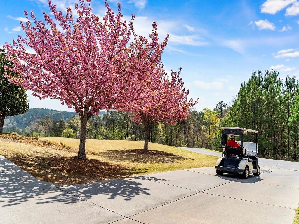 Image of Interior or Exterior of listing