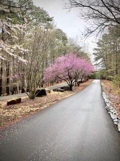 Image of Interior or Exterior of listing