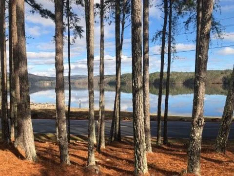 Image of Interior or Exterior of listing