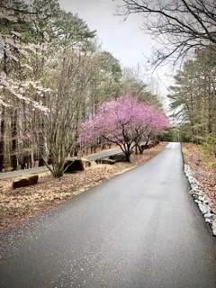 Image of Interior or Exterior of listing