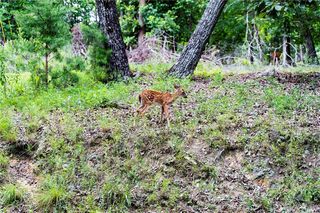 Image of Interior or Exterior of listing